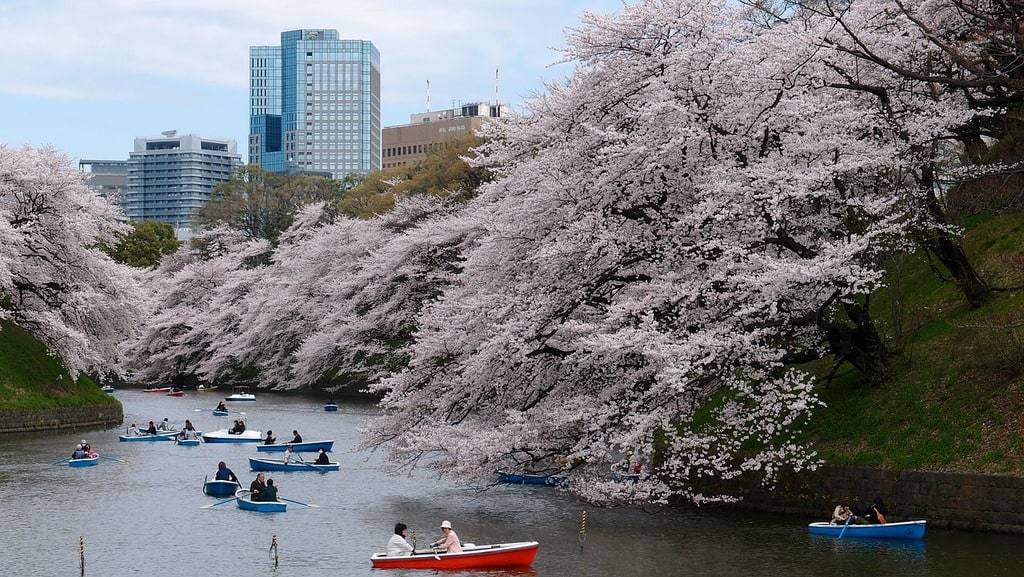 Profiter d'un séjour au Japon entre tradition et modernité